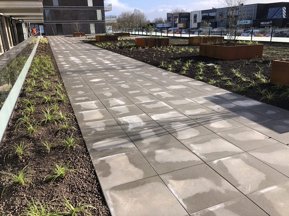 Daktuin Middenweg - plantvakken met siergrassen